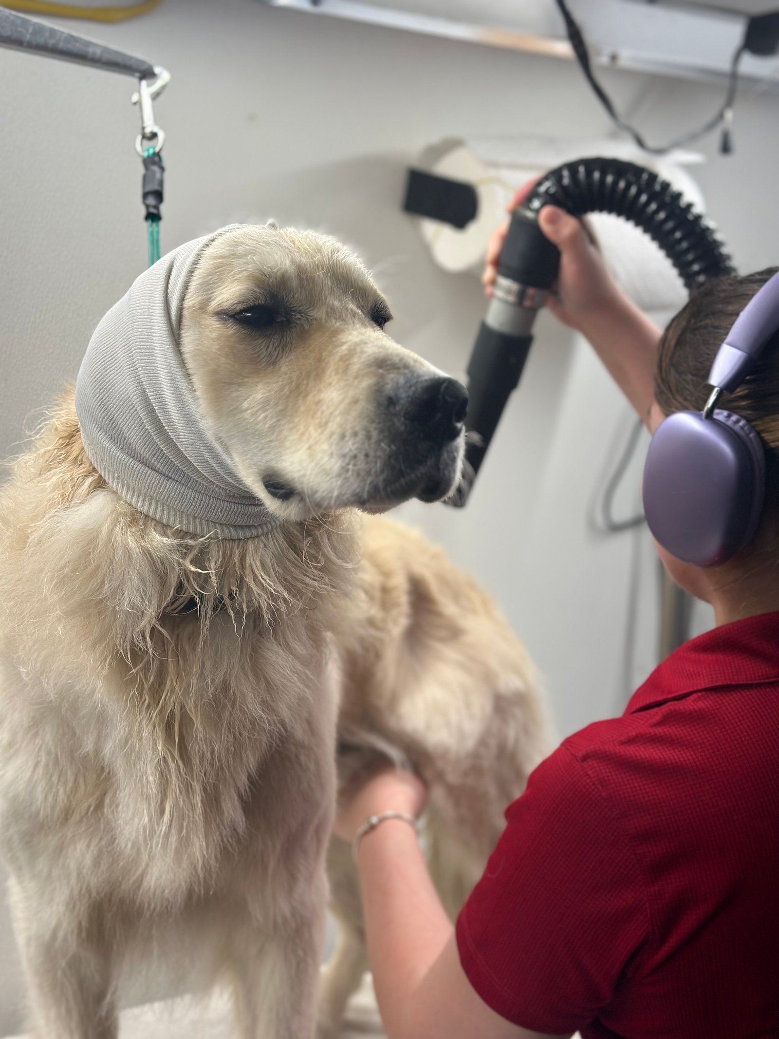 Dallas Pet Grooming Services Customer